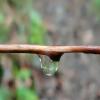 images/waldbaden/waldbaden-im-regen/Waldbaden_Regen_2.jpg