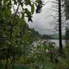 images/waldbaden/waldbaden-im-regen/Waldbaden_im_Regen.jpg