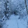 images/waldbaden/waldbaden-im-regen/Winterwaldbaden.jpg